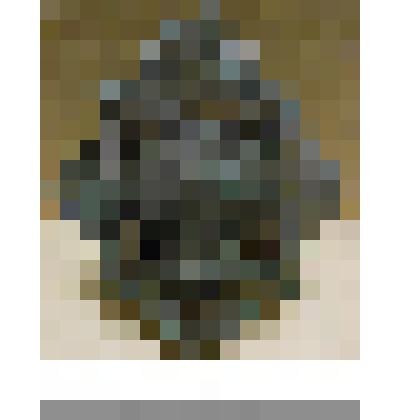 Герб киверный (кокарда на головной убор) Колдстримского Гвардейского полка