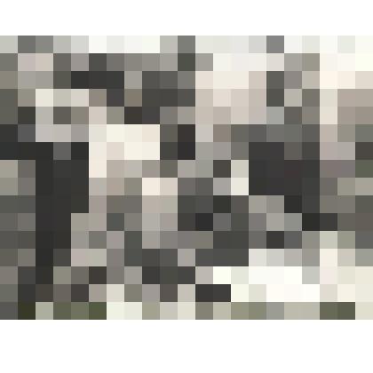 Фотографии. Фото. М.С. Горбачев во время приезда в г. Абакан на Первомайской площади беседует с Шушеначевым И.В., Капустой и др