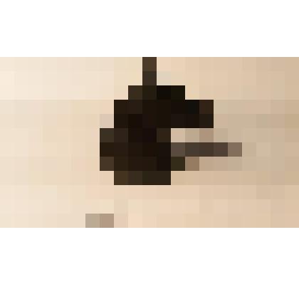 Шахматная фигура—конь чёрный