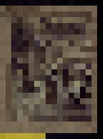 Вечер у Ивана Ильича