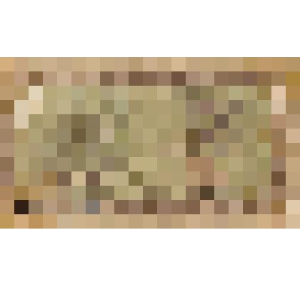 Амурский Областной разменный билет. 15 рублей