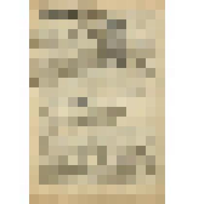 Газета. "Звезда" № 170