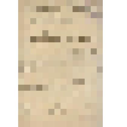 Документ. Мнение Государственного Совета по временному штату управления почтово-телеграфной частью в Квантунской области