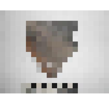 Археология. Фрагмент венчика сосуда, тёмно-серого цвета, верхний край округлый слегка отогнут наружу,  орнаментитован пояском каплевидных оттисков.  На шейке фрагмена имеется отверстие ремонта