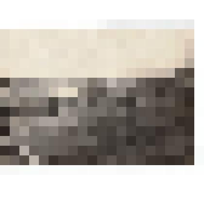 Ф/чб. Берег Волги (пристань) г. Покровска с лодками и баржами у берега. 1920-1930-е