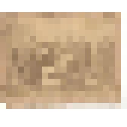 Фотография. Лесничество (рабочие) В.Уфалейского завода