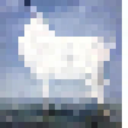 Белое на светлом