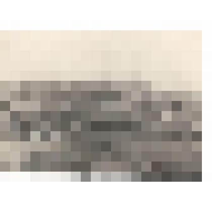 Фотография. Общий вид  НУЗа