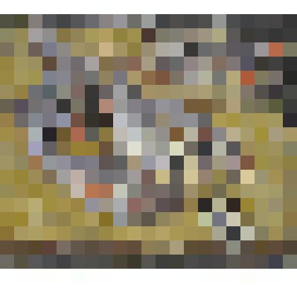 Морской окунь