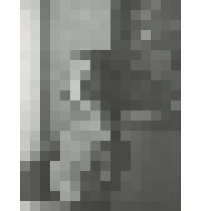 Прощайте голуби