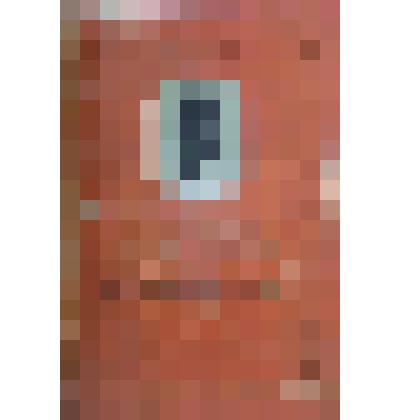 Книга "Декабристки (русские женщины)"