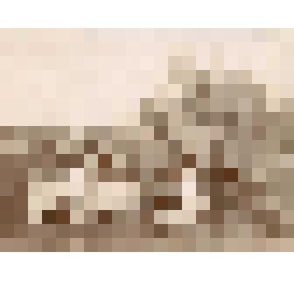 Фотографии из коллекции "Вера Александровна Флёрова" - семья Флёровых