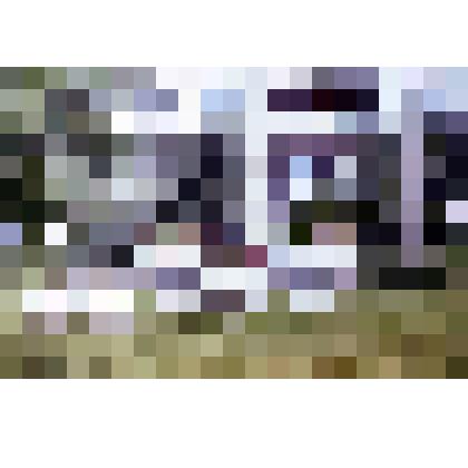 Диапозитив. Бульвар. (143)