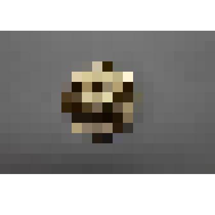 Памятная медаль
«Петродворец  Монплезир»