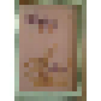 Ирисы. Панно