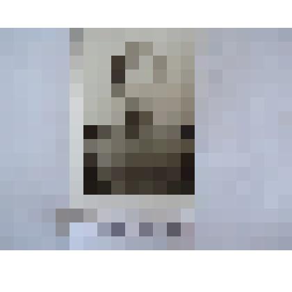 Фото. Гавриков Евгений Александрович