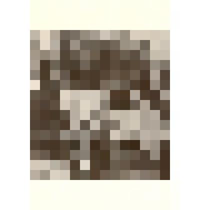 Фотография: зав. МТФ колхоза К.Либкнехта Каменского района Алтайского края Бастылева Лукерья Павловна с передовыми доярками Даниловой Е., Калмыковой П.К., Назиной А