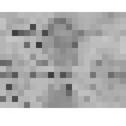 Письмо Ольге Веселовской от Алексея Казакова