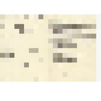 Водительское удостоверение Гусёнкова А. А., копия