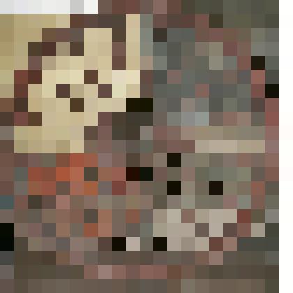 Колесо (заднее)