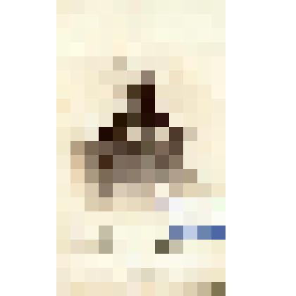 Фотография черно-белая. Руссов Федор Федорович