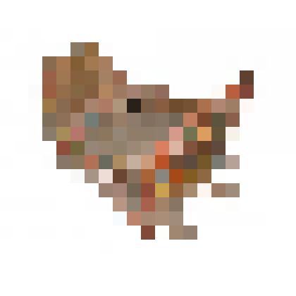 Сани (местное название "шоры")