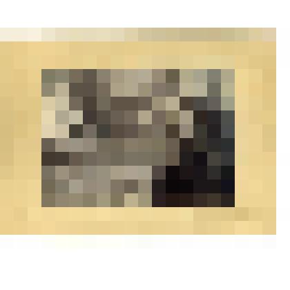 Фотография. Нижегородская губ., г. Арзамас. Производство ковров