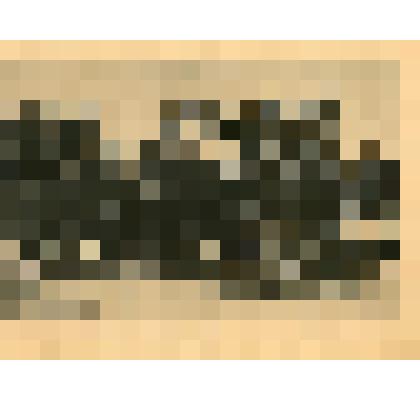 Лист. Буфет у театра. Из альбома "Виды Севастополя"