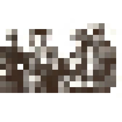 Фотография: члены звена Героя Социалистического Труда Бочкарева Николая Васильевича, комбайнера совхоза "Московский" Ростовской области, на награждении за высокий процент сбора урожая