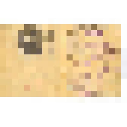 Книжка служебная красноармейца Саранцева Герасима Александровича