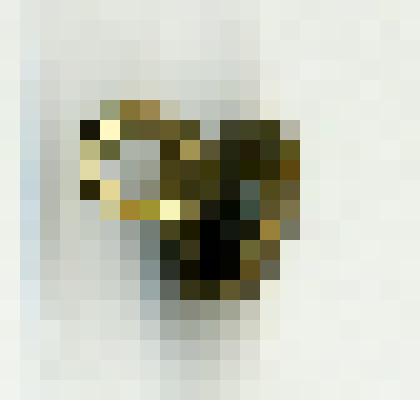 Пуговица для одежды