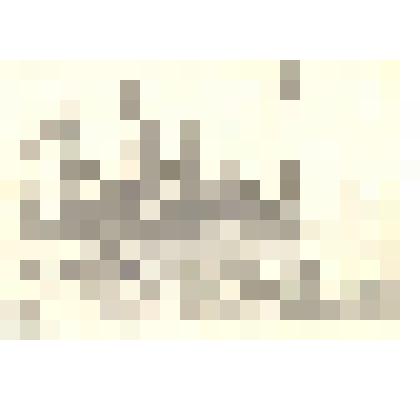 Фотография: на праздничной трибуне 7 ноября 1957 года в г.Камень-на-Оби