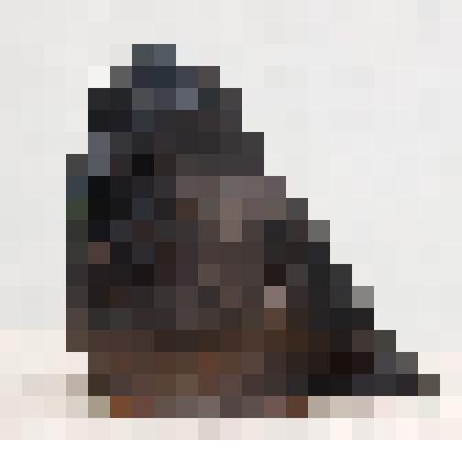 Ворона в зимний день