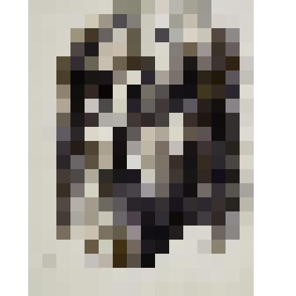 Золотой старик