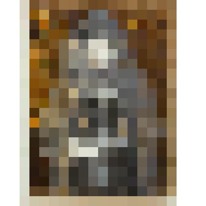 Портрет дамы