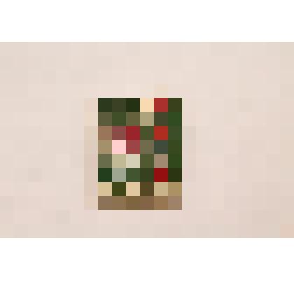 значок "День пограничника"