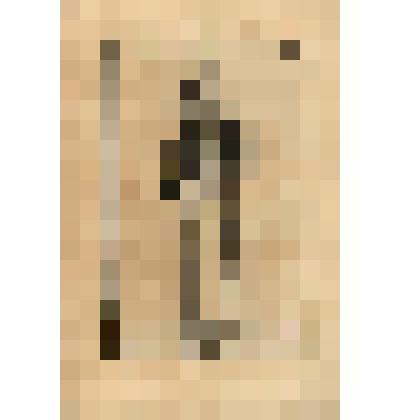 Bacchus. (Терма "Вакх" (№ 191) - лист из альбома: «Recueil des statues, groupes, fontaines, termes, vases, et autres magnifiques ornaments du Chateau & Parc de Versailles.» T. I-IV. (Собрание фигур, групп, терм, фонтанов, ваз, статуй и других орнаментов В