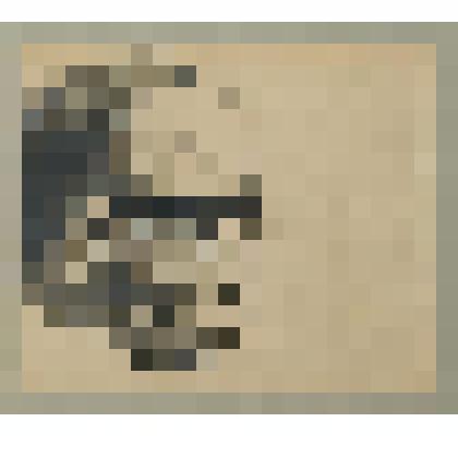 Портрет М.И. Голутвы