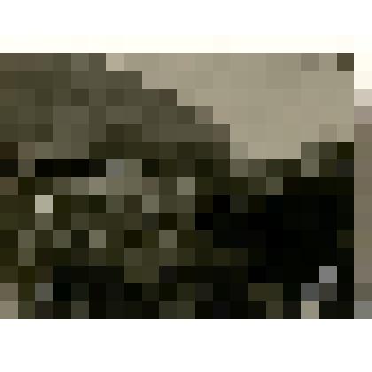 Фотография из фотоальбома. Соврудники 1927-1929гг. - тайга, рабочие, драги