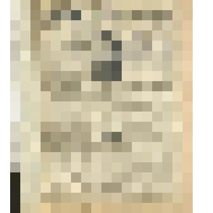 Газета. "Красный воин" № 52 (6200)