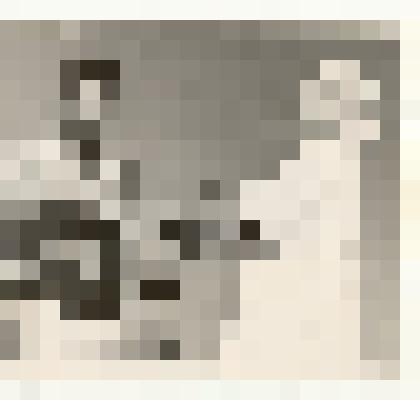 Фотография: заготовителей кормов обслуживает повар колхоза "Родина" Каменского района Алтайского края Сухореброва Мария Петровна