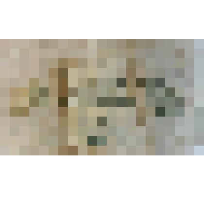 Банкнота 250 рублей