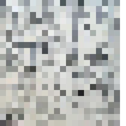 ксилография. В мастерской скульптора (Осень)