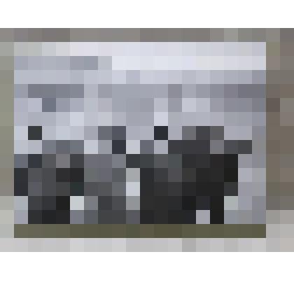 Фотография. Члены ЦК КПСС в аэропорту г. Москвы