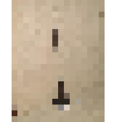 Вафельница печная