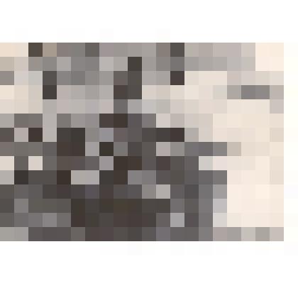 Фотография: Подшивайлов Денис Протасович, генерал-майор, участник Великой Отечественной войны, наш земляк