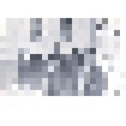 Фотография: празднование 25-летия Победы в ВОВ в г.Камень-на-Оби Алтайского края