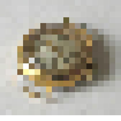 Часы механические наручные женские "Слава"