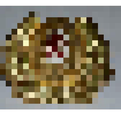 Кокарда офицерская парадная на фуражку или шапку