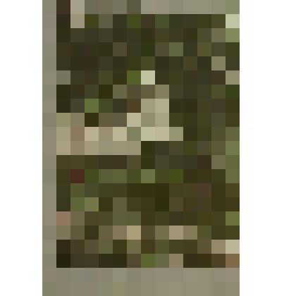 Монотипия. Пейзаж с коровой